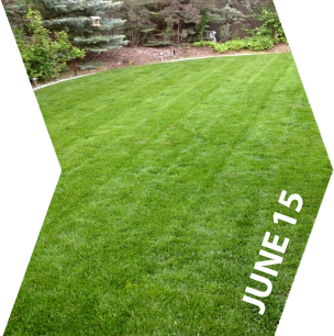 GroundKeeper - Get the 'Green Lawn' Bragging Rights - June 15