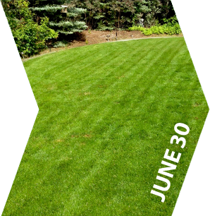 GroundKeeper - Get the 'Green Lawn' Bragging Rights - June 30