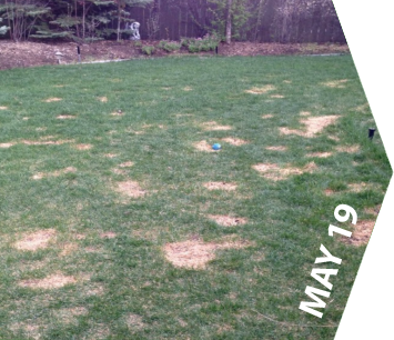 GroundKeeper - Get the 'Green Lawn' Bragging Rights - May 19